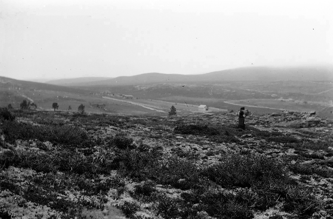 Nokon som kjenner att dama og terrenget?