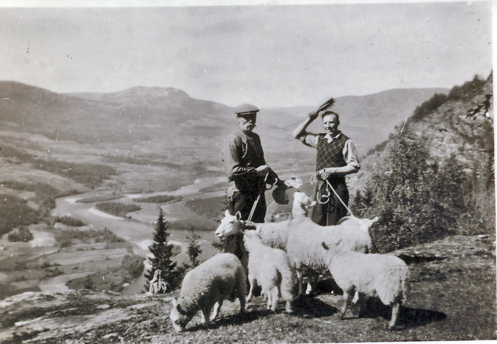 aNr. 104 Kristian Hesteskobakken og Ole O. Hage på sauesanking i Nedre Skar
