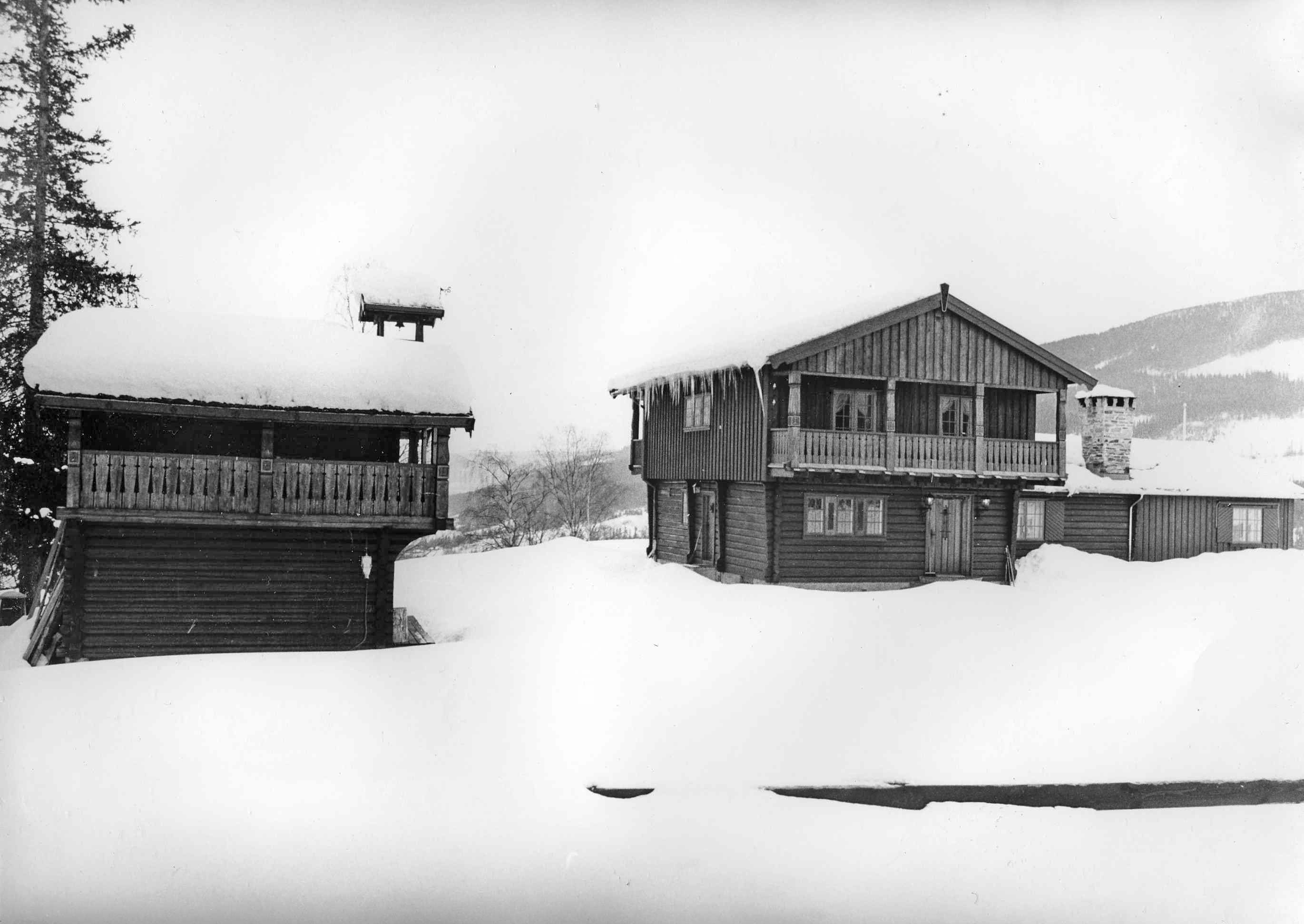 Israel Krupp kjøpte Tofte Høilidshotell etter at det brann i 1940. Han bygde seg villa på tomta.