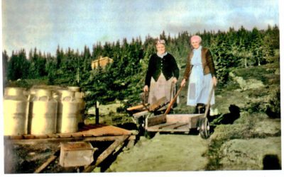 Historier frå mjølkerampa