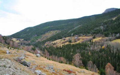 Det underlege mordet i Huskelia