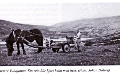 Skotet gjekk av så måsåspruten stod