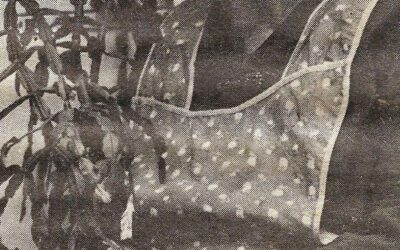 Hovdkaféen var samlingspunktet