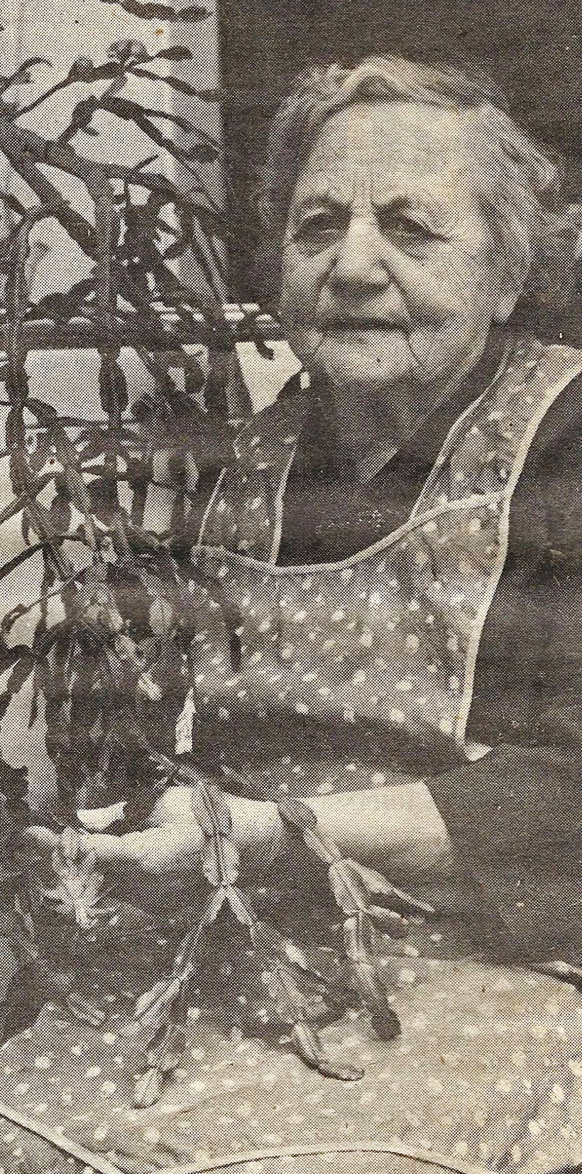 signe hovden.jpg