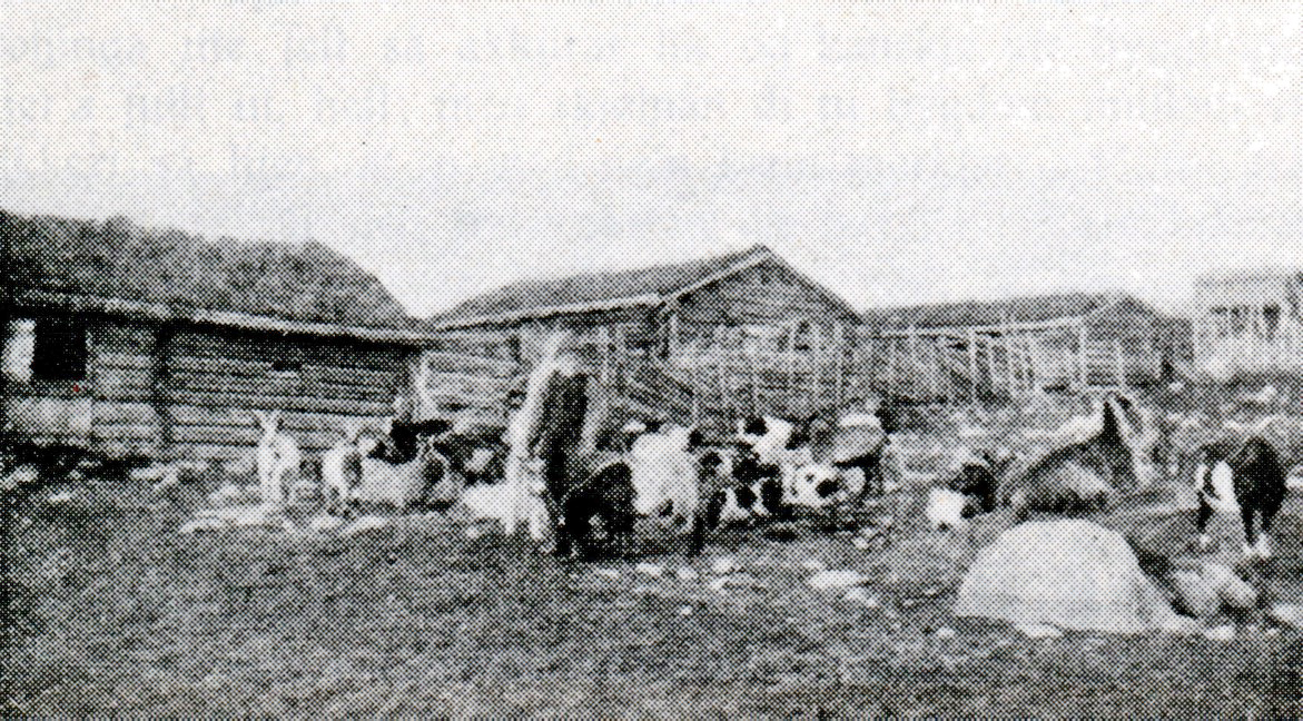 seterkvikne
