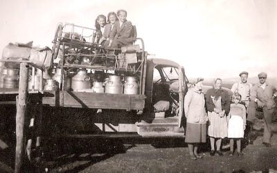 Livet kring mjølkerampa