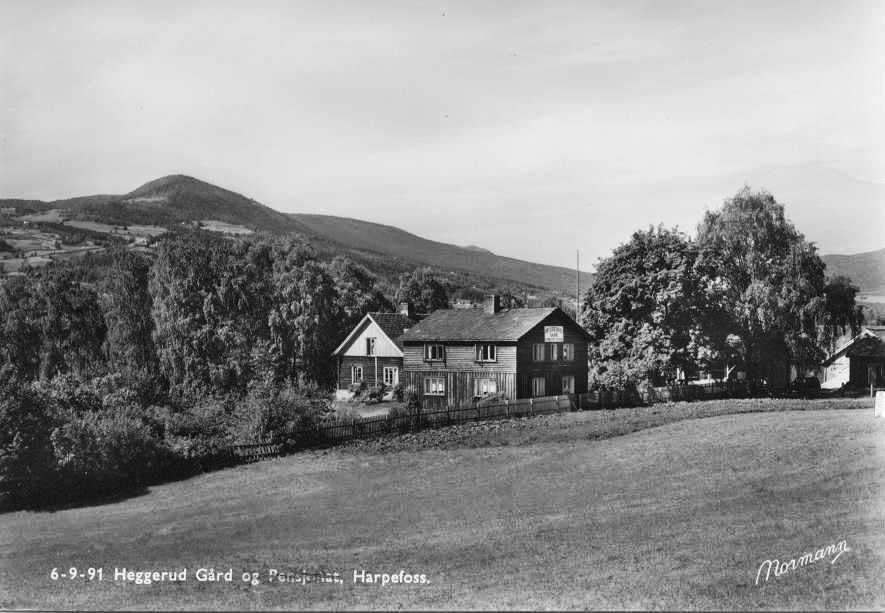 1779779_442831629153597_604388437_n