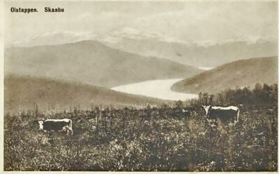 Da sauen trakka ned presten