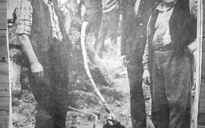 – Heller heimebrenning enn tjærebrenning