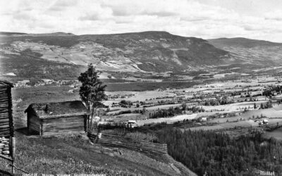 – Fron  er besteværelset hos Mor Norge