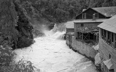 Turane til kverna var store opplevingar