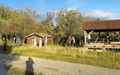 Kva skjer med kvernkallen?