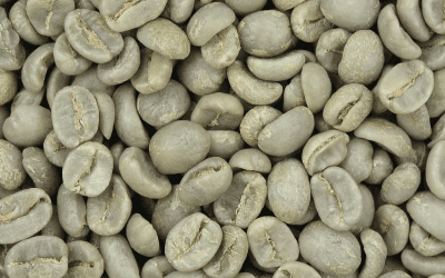 Underleg påskekaffi i Skåbubaklia