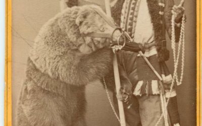 Bjørnen braut ryggjetak på Jostugusalen