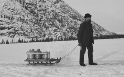 Ikkje få mjølkeliter gjekk tapt