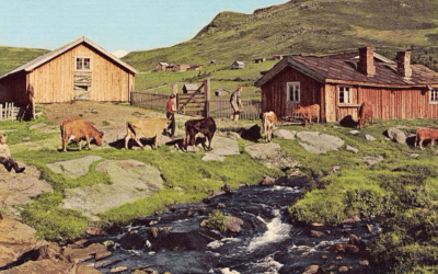 Å jeg vet en seter, med så mange …