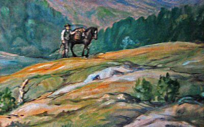 Når kom det glas og peis på setrene?