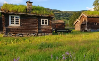 Dugnad på Fron bygdatun