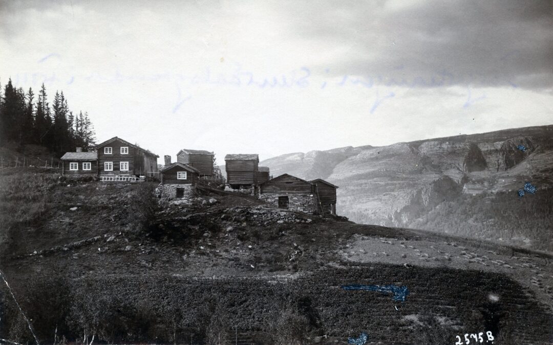 Torgerhaugen