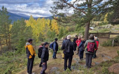 På sporet av mellomaldervegen