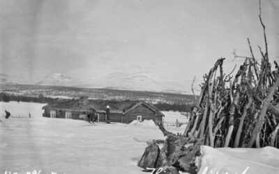 Da Vis-Knut såg huldreungen
