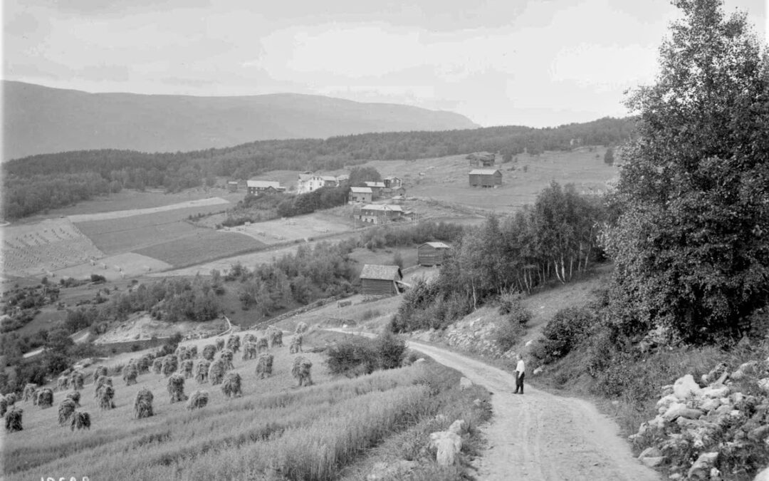 Toksegardane kring 1900