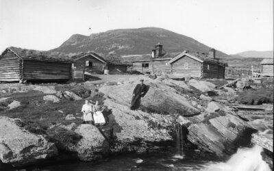 Nordgard Brandvolsetra