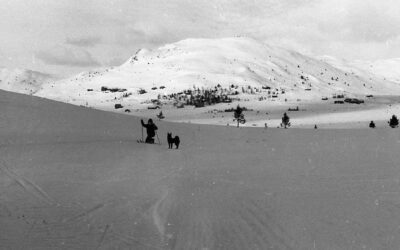 Vinterbilde frå Sulsetra