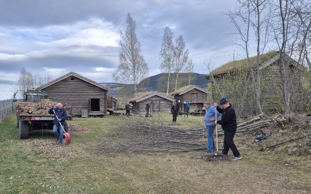 Skinande reint og strigla
