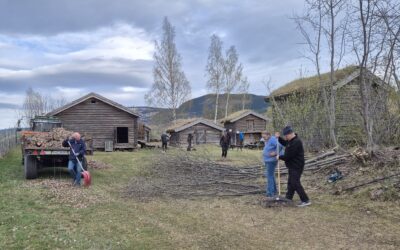 Skinande reint og strigla